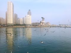 -星海蹦极娱乐