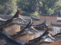 -杨家堂村