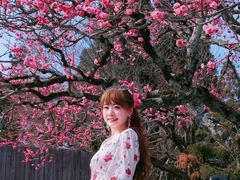 -醍醐寺