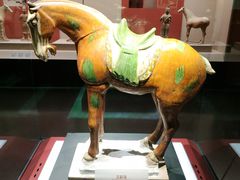 -宁夏博物馆