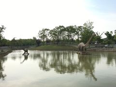 -上海海湾国家森林公园