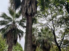 -苏州河梦清园环保主题公园