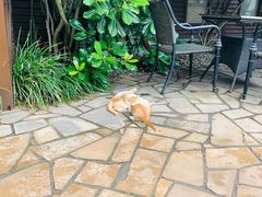 -芭东小镇温泉