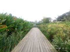 -白鹭湾湿地公园