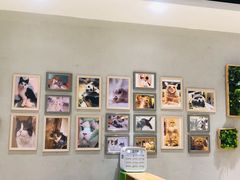 -藏猫猫咖啡主题馆(中央大道店)