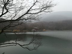 -紫霞湖公园
