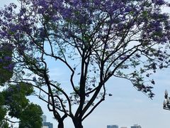 -龙湖·春森彼岸
