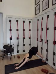 -成都阿难陀艾扬格瑜伽中心