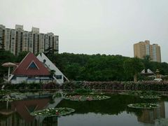 -洛阳市牡丹公园