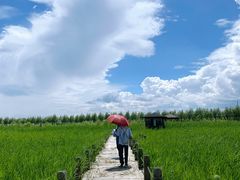 -呼兰河口湿地公园