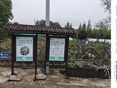 -元鼎宝驴香·全驴宴(江宁店)