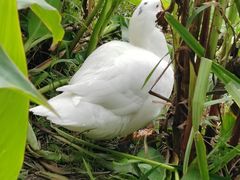 -昆山城市生态森林公园