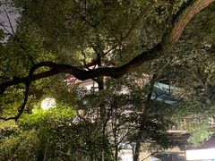 -湖畔居茶楼(湖滨店)