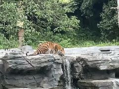 -宁波野生动物园