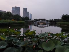 -西海子公园