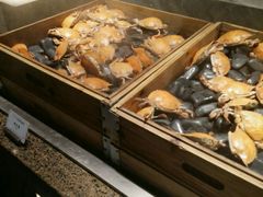 -星伦多自助料理(江阴万达店)