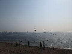 -泊石湾海滨浴场