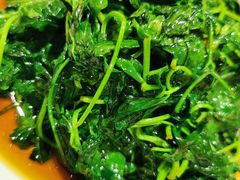 -光明邨大酒家(汇阳广场店)