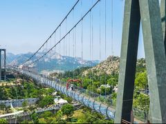 -西霞口神雕山野生动物世界