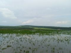 -塞罕坝国家级自然保护区