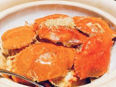 -柿合缘新京菜(国金中心商场店)