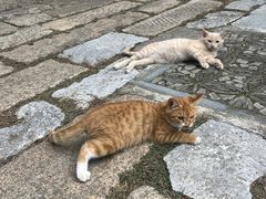 -上海方塔园