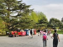 -北京植物园-展览温室