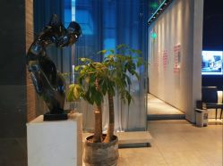 -蒂伊·品质医美