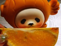 餐前水果-雲蜀龙阁·金牌水煮鱼(方庄店)