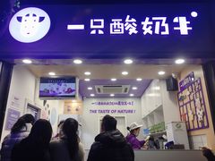 门面-一只酸奶牛(八一路店)