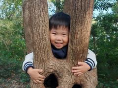 -上海佘山国家森林公园天马山园