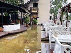 -Local泰莲庭(虹鳟鱼店)