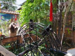 -园林美食城·本土农家菜(杨和镇店)