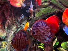 -上海海洋水族馆