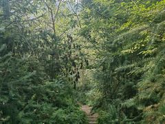 -会稽山峡洞漂流-上青古道