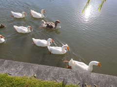 -杭州师范大学(下沙校区)