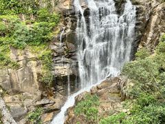 -海南热带雨林国家公园吊罗山景区