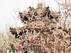 -颐和园