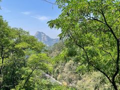 -泰山风景名胜区