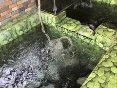 -荣德灶台鱼(圣泉寺店)