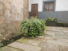 -清漾毛氏文化村