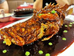 -老吉士酒家(天平路店)