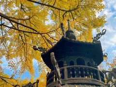 -青岛崂山太清宫