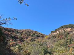 -北京西山国家森林公园