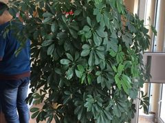 -青春加萌照相馆