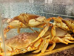 -宴周康·精致江浙菜(周浦店)