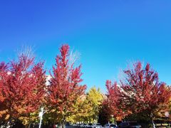 -辽宁大学(崇山校区)