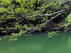 -湖洞水自然风景区