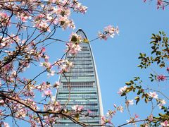 -荔枝公园(福田区)