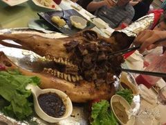 -宝燕壹号(徐汇店)